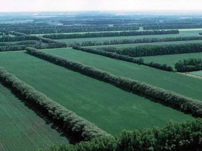Земли сельхозназначения в Алтайском крае